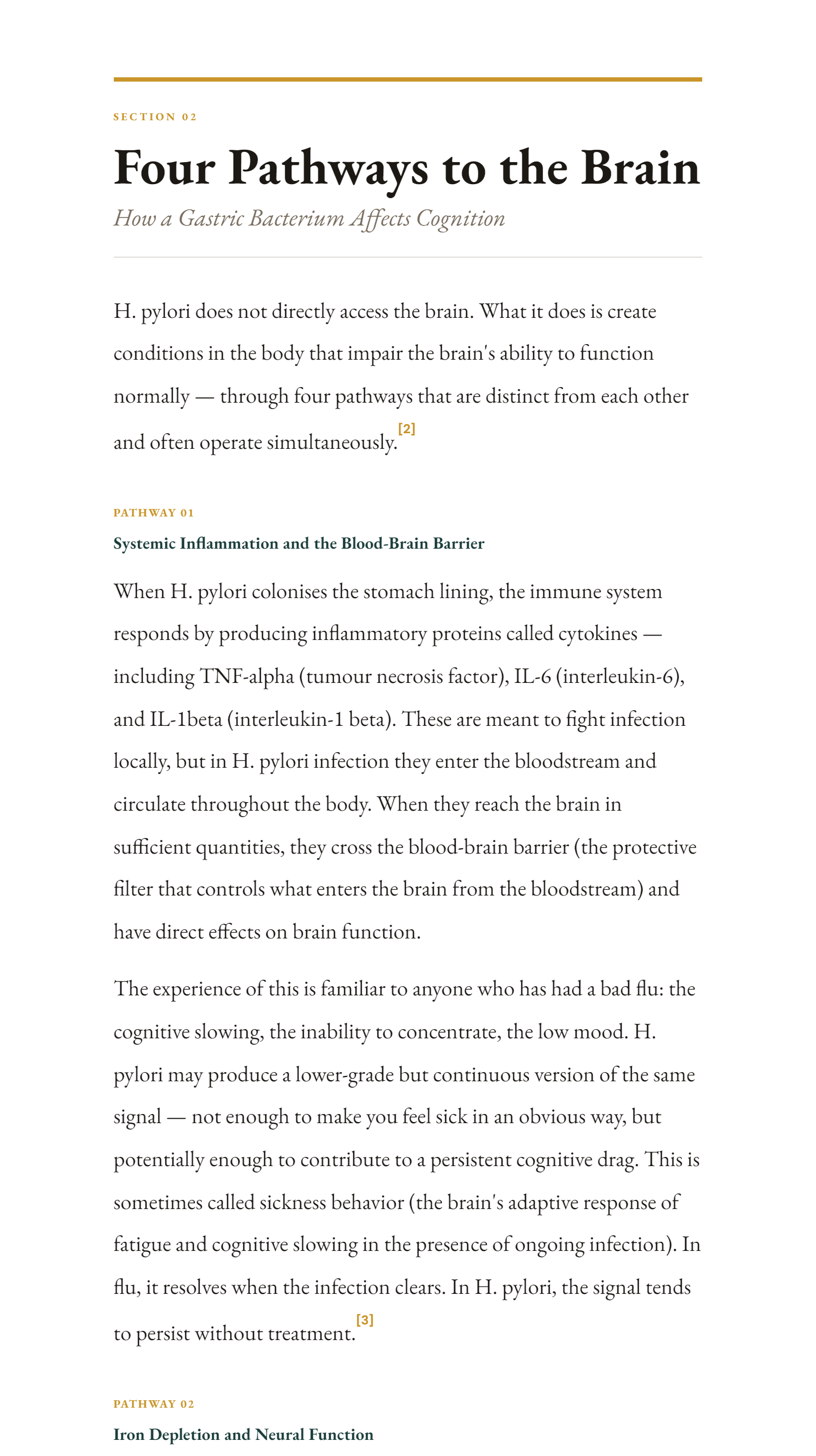 A page from Section 02 of the guide — Four Pathways to the Brain