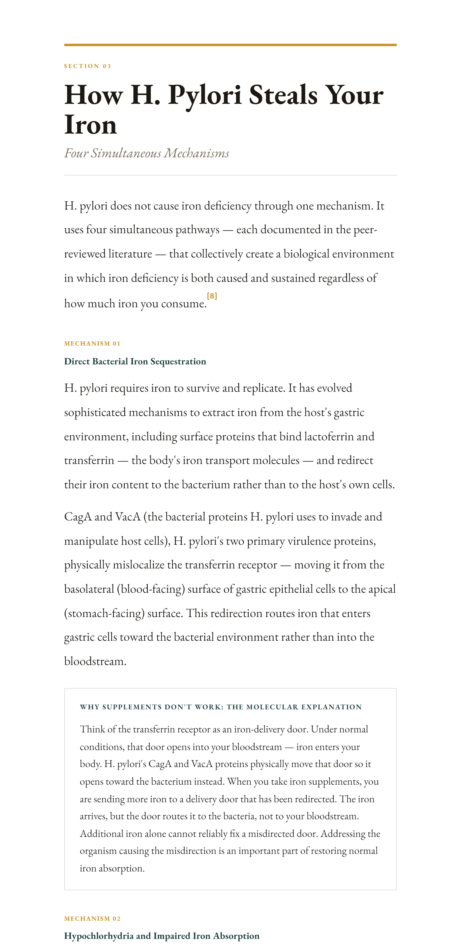 A page from Section 03 of the guide — How H. Pylori Steals Your Iron