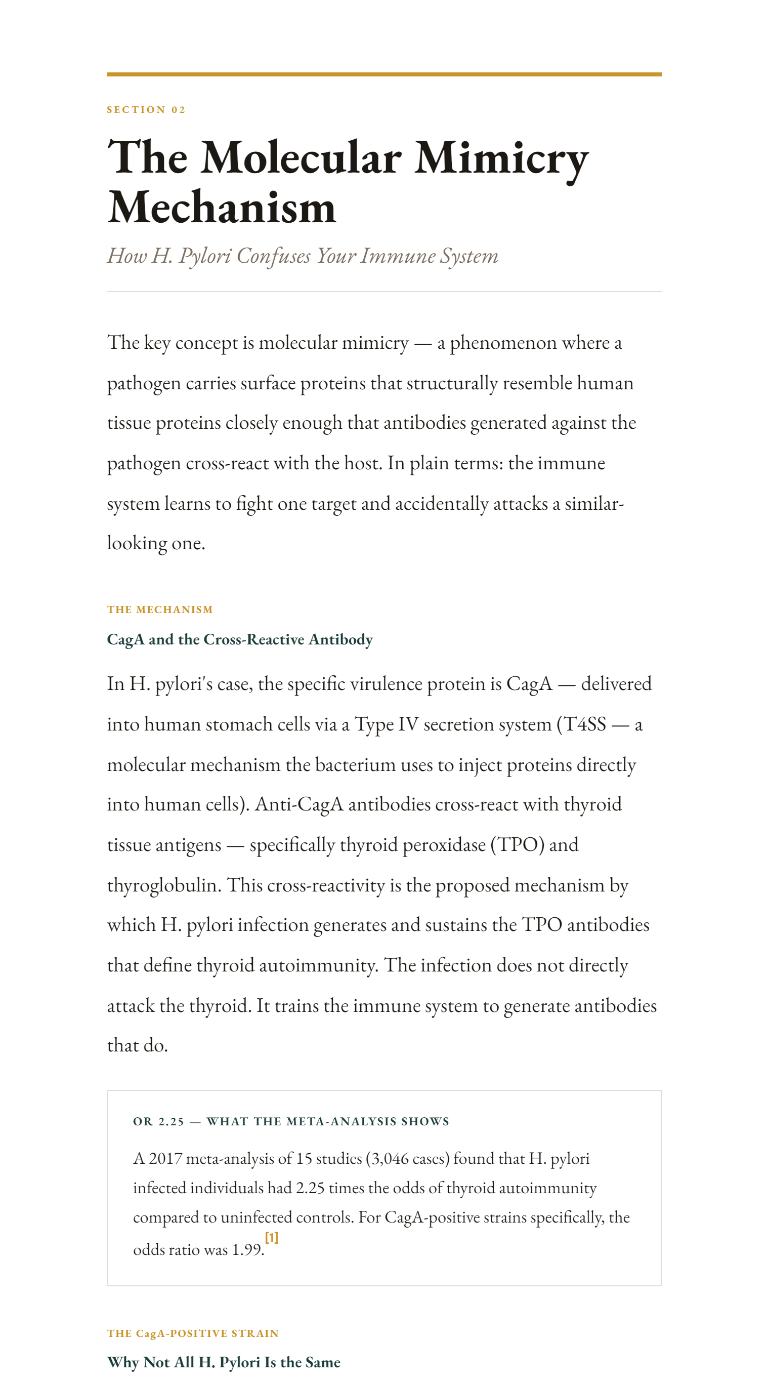 A page from Section 02 of the guide — The Molecular Mimicry Mechanism